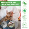 Picture of Cat Pheromones Calming Diffuser, Effective Cat Anxiety Diffuser, Professional Stress Relief for Pet Anxiety
