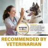 Picture of Dog Paw Balm, Repairs and Moisturizes Dry, Cracked & Damaged Paws and Noses for Cats and Dogs