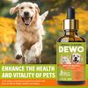Picture of Dewormer for Dogs & Cats, Effective Against Tapeworms Hookworms Roundworms Whipworms,Natural Worm Treatment for Kitten & Puppy