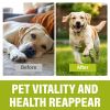Picture of Dewormer for Dogs & Cats, Effective Against Tapeworms Hookworms Roundworms Whipworms,Natural Worm Treatment for Kitten & Puppy
