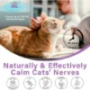 Picture of Cat Pheromones Calming Diffuser, Cat Calming Diffuser Starter Kit with Diffuser Head and 2pcs 48ml Vial, Efficient Relieve Anxiety Stress, 60 Days Use