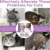 Picture of Cat Pheromones Calming Diffuser, Cat Calming Diffuser Starter Kit with Diffuser Head and 2pcs 48ml Vial, Efficient Relieve Anxiety Stress, 60 Days Use